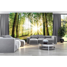 Een fotobehang met een rustgevend boslandschap bij zonsondergang, weergegeven in een natuurlijke setting van de huiskamer.