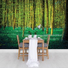 Een fotobehang met groene bomen in een bos te zien in de eetkamer.
