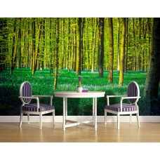 Een fotobehang met groene bomen in een bos te zien in de keuken.