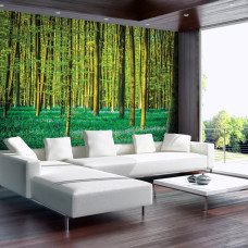 Een fotobehang met groene bomen in een bos te zien in de woonkamer.