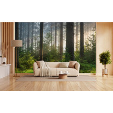 Fotobehang van een bos met zacht ochtendlicht in een moderne woonkamer.