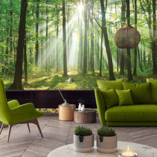 Een fotobehang van een boslandschap met zonnestralen voor de huiskamer.