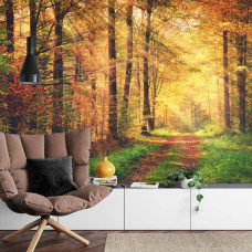 Een fotobehang met een sfeervol bospad waar zonnestralen door de bomen schijnen, perfect voor een woonkamer.
