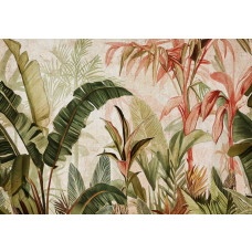 Fotobehang van botanische jungle bladeren op beton, in een natuurlijke en tropische setting.