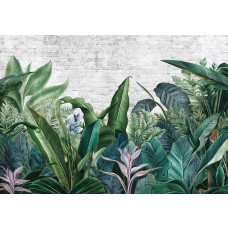Fotobehang van botanische jungleplanten in een weelderige en tropische setting.