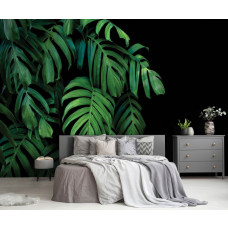 Een fotobehang met botanische junglebladeren op een zwarte achtergrond, speciaal voor een slaapkamer.