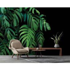 Een fotobehang met junglebladeren en een contrasterende zwarte achtergrond.