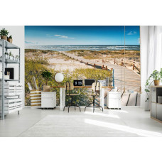 Een fotobehang van een brug door de duinen in een professioneel kantoor.