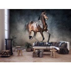 Een fotobehang met een bruin paard voor de huiskamer.