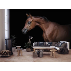 Een fotobehang met een bruin paard op een zwarte achtergrond in een woonkamer.