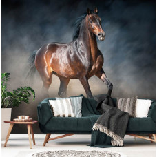 Een fotobehang met een bruin paard voor de woonkamer.