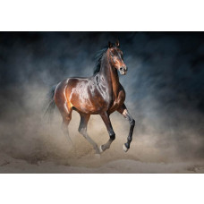 Fotobehang van een bruin paard, natuurgetrouw en realistisch.