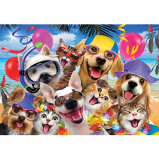 Katten en honden dolle beestenboel, grappig fotobehang met een speelse uitstraling voor kinderkamers.