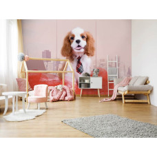 Een fotobehang van een Cavalier King Charles Spaniėl hond in een kinderkamer voor een meisje.