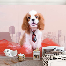 Een fotobehang van een Cavalier King Charles Spaniėl hond in een meisjeskamer met zachte kleuren.