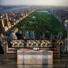 Fotobehang van Central Park in New York, Manhattan, dat perfect is voor een mancave met een stedelijke uitstraling.