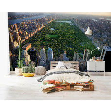 Fotobehang van Central Park in New York, Manhattan, een stedelijke sfeer voor een tienerkamer.