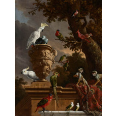 Fotobehang met een levendige verzameling exotische dieren en vogels, waaronder doodshoofdaapjes, kaketoes, een roodstaartpapegaai en een vrouwenlori, geïnspireerd op het schilderij De Menagerie van Melchior d’Hondecoeter.