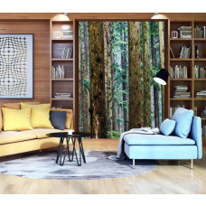 Een fotobehang van een dennenbos met hoge bomen en natuurlijke omgeving te zien in de huiskamer.