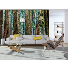 Een fotobehang van een dennenbos met hoge bomen en natuurlijke omgeving te zien in de woonkamer.