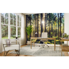 Fotobehang van een natuurlijk dennenbos in een modern kantoor met een ontspannen uitstraling.