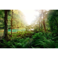 Fotobehang van een diep tropisch bos met een helderblauw meer dat wordt omringd door weelderige natuur.