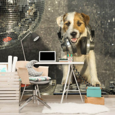 Een fotobehang met een DJ-hond in de disco, geschikt voor een kantooromgeving.