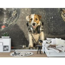 Een fotobehang met een DJ-hond in disco-stijl voor de slaapkamer.