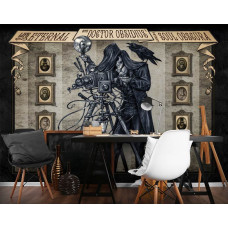Een fotobehang van Doctor Obsidius Soul Obscura met schedels en skelet fotograaf voor de gamekamer.