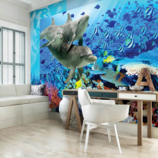 Een fotobehang met dolfijnen die zwemmen in helder water met vissen, ideaal voor een kinderkamer.