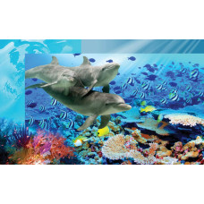 Dolfijnen in de kinderkamer, een vrolijk fotobehang met vissen en zeeleven, ideaal voor een aquariumthema.
