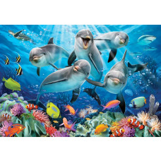 Dolfijnen onder water, aquarium fotobehang met een vrolijke en levendige sfeer voor kinderkamers.
