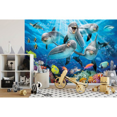 Een fotobehang met dolfijnen in een kleurrijke onderwaterwereld, ideaal voor een kinderkamer.