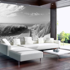 Een fotobehang van een zwart-wit strandlandschap met duinen in vliesbehang.