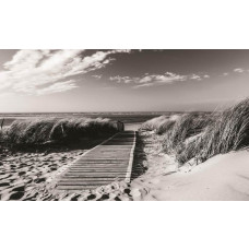 Zwart-wit fotobehang met duinen en strand, ideaal voor een minimalistische en serene uitstraling.