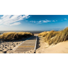 Fotobehang van duinen aan het strand, met een weids uitzicht op de zee en natuurlijke elementen.