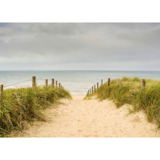 Fotobehang Duinen bij de Noordzee met een idyllisch uitzicht op glooiende zandduinen en wuivend helmgras onder een heldere blauwe lucht.