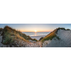 Fotobehang duinen en zee tijdens gouden zonsondergang met zandpad naar het strand.