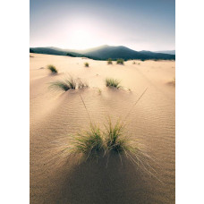 Duinen fotobehang, met zandheuvels die zich uitstrekken over het landschap.