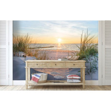 Een fotobehang met duinen, strand en zee bij zonsopgang, geschikt voor een huiskamer.