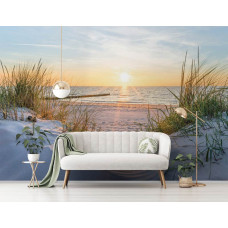 Een strand-fotobehang met zee, duinen en een rustige sfeer, perfect voor een woonkamer.