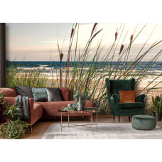 Fotobehang met duinen, zee, strand en kustgras met vliesbehang in woonkamer en slaapkamer.