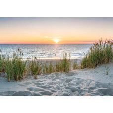 Fotobehang duinlandschap met gouden avondzon aan zee met strand, duinen en uitzicht over het water.