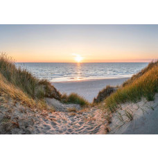 Fotobehang duinpad naar zee bij zonsondergang met een zandpad tussen begroeide duinen en uitzicht over het strand en de zee.