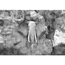 Olifant uitgesneden in rotsen, fotobehang in grijze tinten met een artistieke en natuurlijke uitstraling.