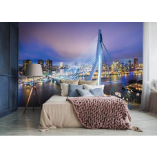 Een fotobehang met een indrukwekkend stadsbeeld van Rotterdam, geschikt voor een slaapkamer.