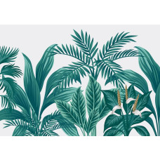 Exotische planten in een tropische jungle setting, fotobehang dat de natuur tot leven brengt met frisse groentinten.