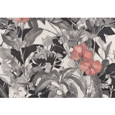 Fotobehang met fijne botanische kunst en roze bloemen op zwart-witte achtergrond.