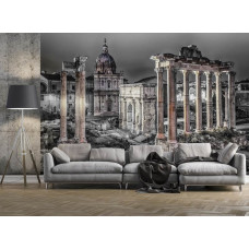 Een zwart-wit fotobehang van het Forum Romanum in Rome, Italiė, voor de woonkamer.