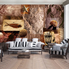 Een fotobehang van fossielen en schelpen in een prehistorisch ontwerp met visuele details.